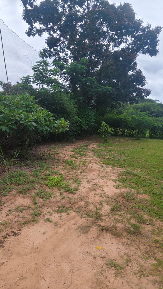 picture Land for sale Finix Golf club - 11/17