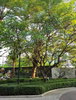 listing thumbnail image 12