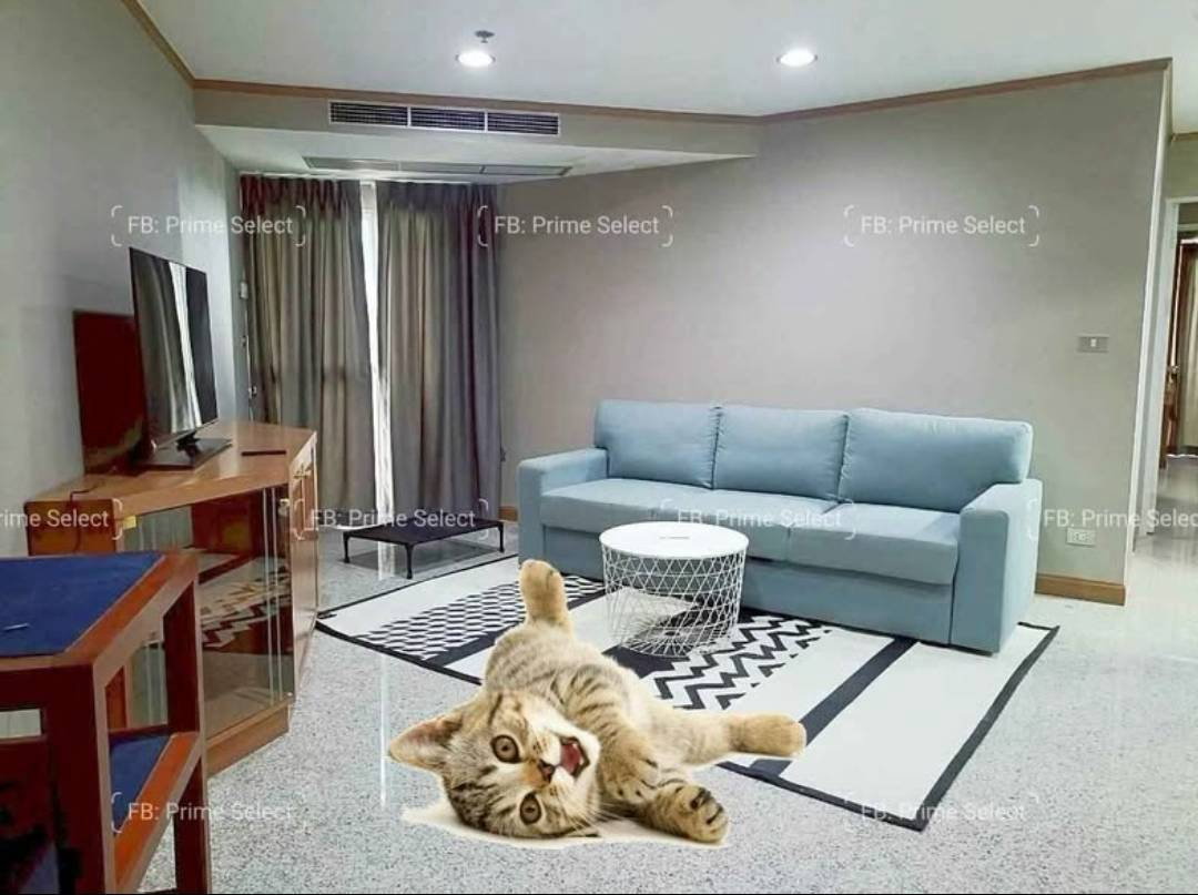 2Bed Pet Friendly Apartment for Rent Sukhumvit Central Bangkok✨Near BTS Ploenchit, MRT Petchaburi🔰 We can show all available units here