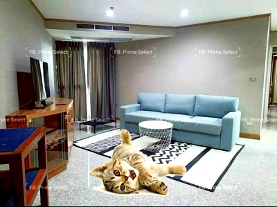 Condos for rent : 2Bed Pet Friendly Apartment for Rent Sukhumvit Central Bangkok✨Near BTS Ploenchit, MRT Petchaburi🔰 We can show all available units here