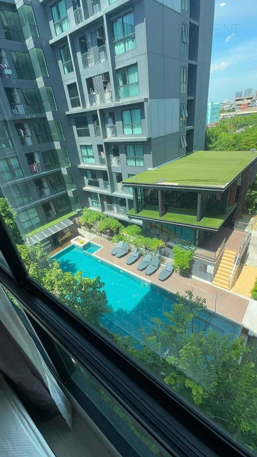 รูป ให้เช่าคอนโด ดิ เอ็กซ์เซล กรูฟ ลาซาล 52 อาคาร ชั้น 1 ห้องนอน ขนาด 30.5 ตรม ใกล้ Big C ศรีนครินทร์ - รูปที่ 2/8