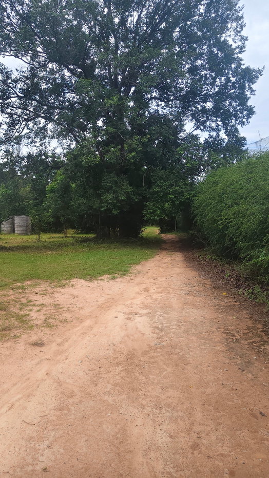 picture Land for sale Finix Golf club - 12/17