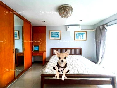 Condos for rent : 2Bed Pet Friendly Apartment for Rent Sukhumvit Central Bangkok✨Near BTS Ploenchit, MRT Petchaburi🔰 We can show all available units here