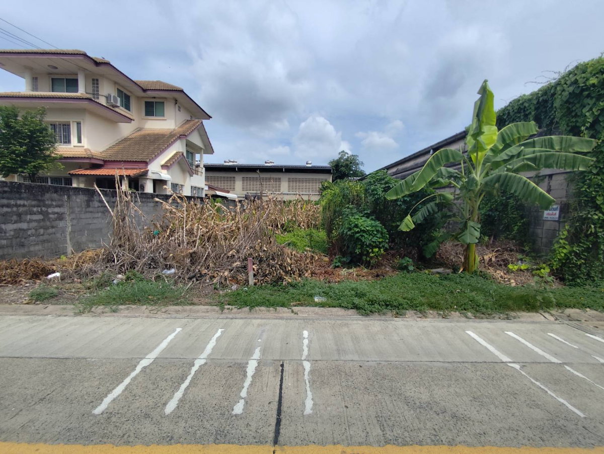 รูป ขายที่ดินเปล่าเพชรเกษม77 แยก3-6 - รูปที่ 3/7