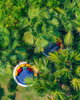listing thumbnail image 27
