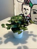 listing thumbnail image 3