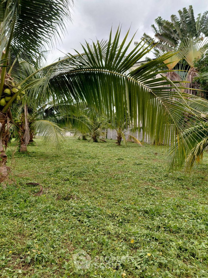 รูป ที่ดินให้เช่า 1,296 ตร.ม. ย่านสวนหลวง สถานี ARL หัวหมาก (ID 3195588) - รูปที่ 2/8