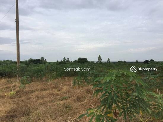 ขายที่ดินเปล่าเหมาะสำหรับทำห้องแถวซื้อไว้เก็งกำไร