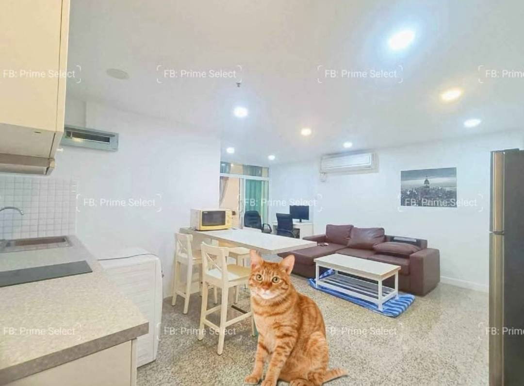 2Bed Pet Friendly Apartment for Rent Sukhumvit Central Bangkok✨Near BTS Ploenchit, MRT Petchaburi🔰 We can show all available units here