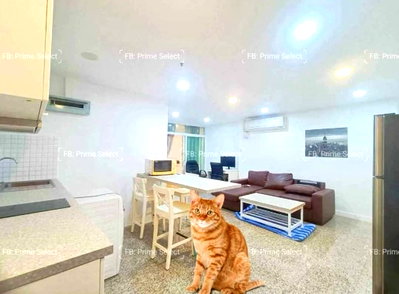 Condos for rent : 2Bed Pet Friendly Apartment for Rent Sukhumvit Central Bangkok✨Near BTS Ploenchit, MRT Petchaburi🔰 We can show all available units here