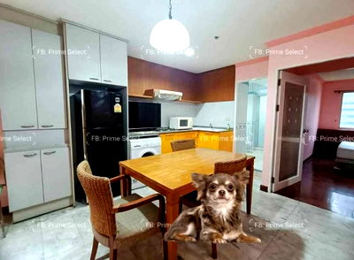 Condos for rent : Big 1 Bed Pet Friendly Apartment for Rent Sukhumvit Central Bangkok✨Near BTS Ploenchit, MRT Petchaburi🔰 We can show all available units here