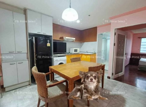🏙️Condo for Rent | 🐶Pet Friendly | 📍Ploenchit | 💰22,000 THB/Month | 🏙️Prime Bangkok | 🚝BTS Ploenchit | 🏊Pool | 🏋️Gym | ✨Fully Furnished