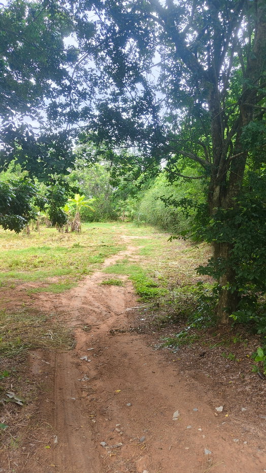 picture Land for sale Finix Golf club - 8/17