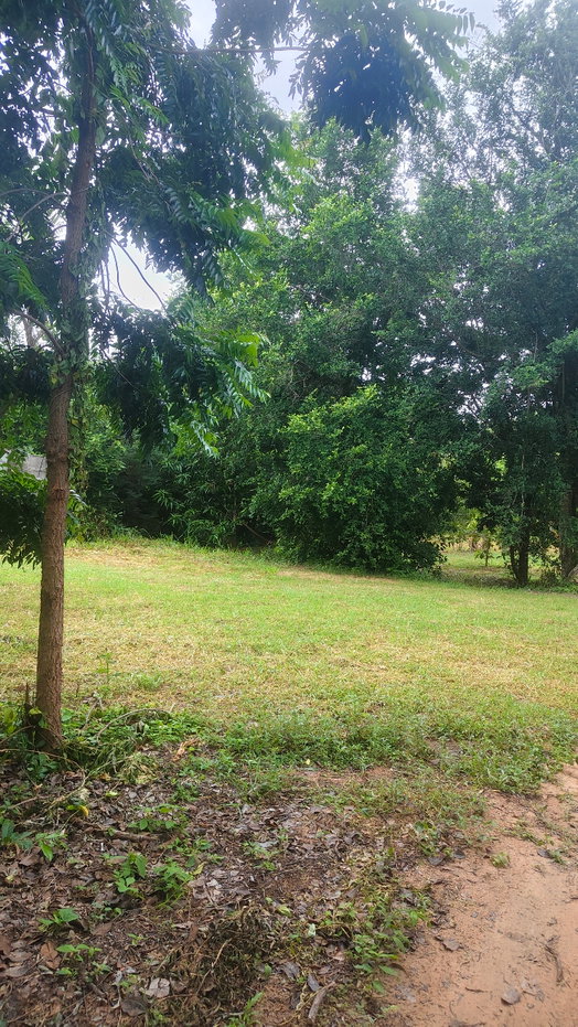 picture Land for sale Finix Golf club - 9/17