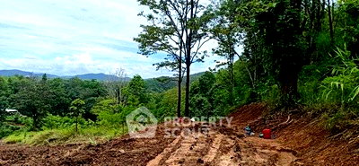 ที่ดิน ดอยสะเก็ด เชียงใหม่ : ที่ดินเปล่าขาย ป่าเมี่ยง ดอยสะเก็ด เชียงใหม่ (ID 3192714)