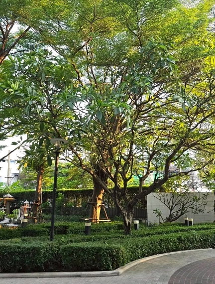 รูป ## IDEO Ladprao 5 | ห้อง 1 Bedroom 34 ตร.ม. ติดถนนใหญ่ เชื่อมต่อทั้ง **MRT พหลโยธิน และ BTS ห้าแยกลาดพร้าว** เครื่องซักผ้าใหม่ - รูปที่ 14/16