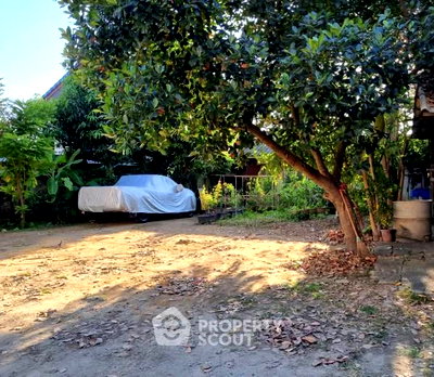 Land for sale Saraphi Chiang Mai : Land For Sale In Nong Phueng, Saraphi, Chiang Mai (ID 3143183)