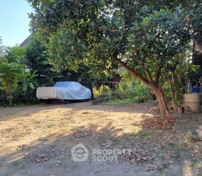 ขายที่ดินในหนองผึ้ง สารภี เชียงใหม่ (ID 3143183)