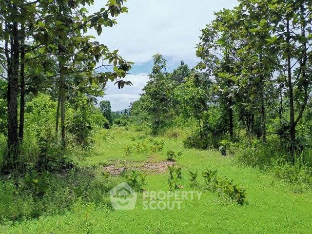picture 4,400 Sqm Land For Sale In Chang Phueak Chiang Mai (ID 3195577) - 4/7