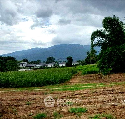 Land for sale Maejo University : Land For Sale In San Phisuea, Chiang Mai (ID 3143214)