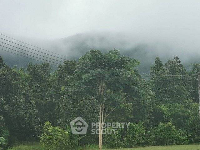 picture 4,400 Sqm Land For Sale In Chang Phueak Chiang Mai (ID 3195577) - 6/7