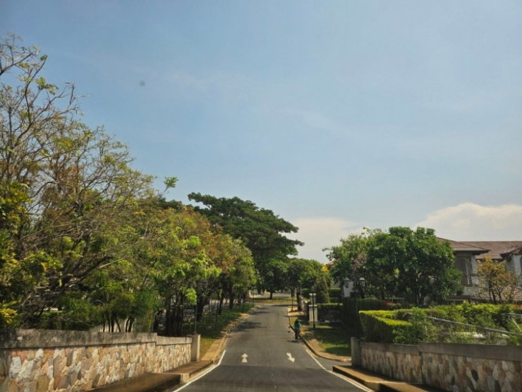 รูป Nantawan Bangna KM. 7
นันทวัน บางนา กม.7 - รูปที่ 16/17