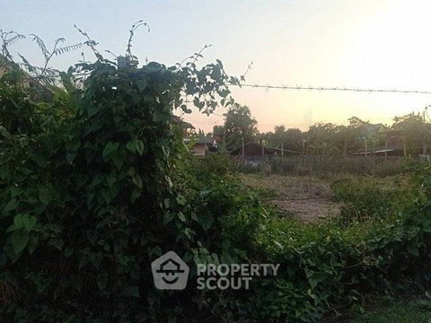 126 Sqm Land For Sale In Saraphi Chiang Mai (ID 3139537)