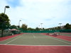listing thumbnail image 17