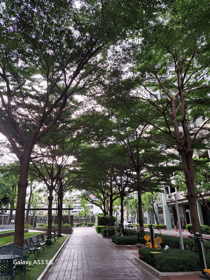 รูป ให้เช่าคอนโดLpn Park ปิ่นเกล้า วิวสระน้ำ เฟอร์ครบ ต่อรองได้^__^ (Line:0801425761) - รูปที่ 12/16