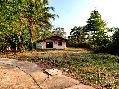 บ้านเดี่ยว ถนนนิตโย อุดรธานี : บ้านเดี่ยว 322 ตร.วา พังโคน สกลนคร 1.4M