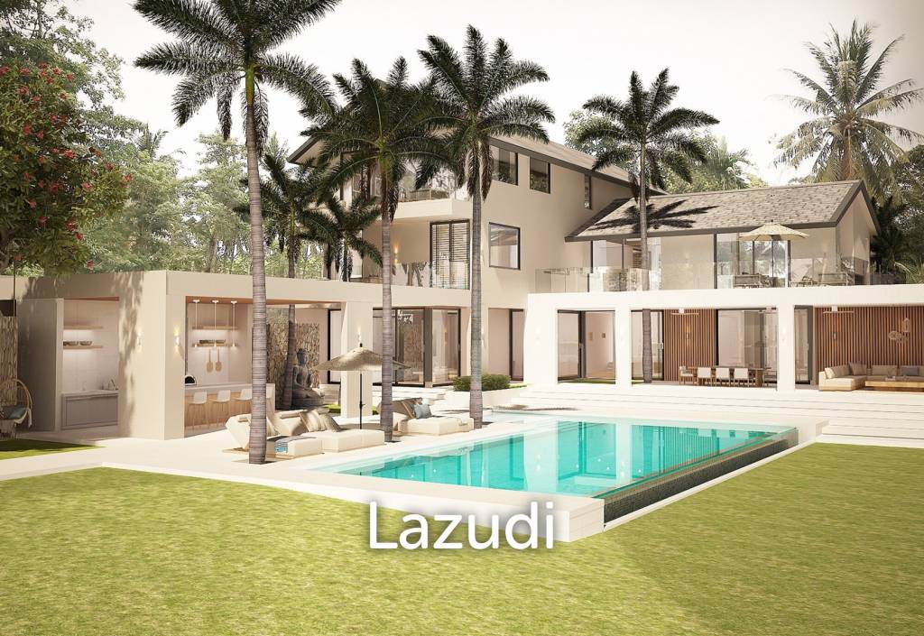 picture Investment Opportunity : Large villa partially built. - 11/17