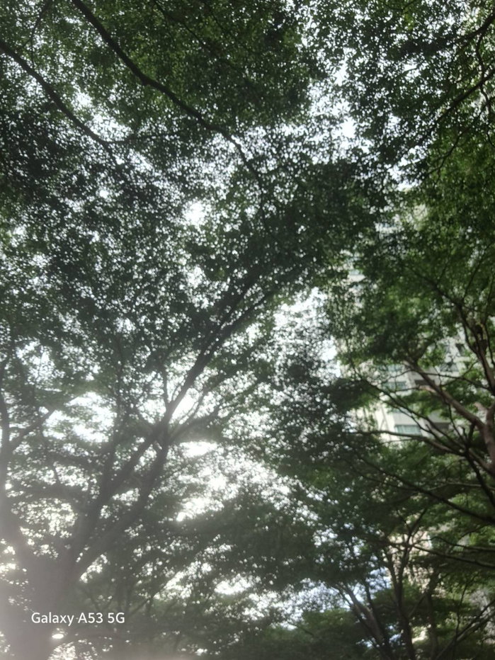 รูป ให้เช่าคอนโดLpn Park ปิ่นเกล้า วิวสระน้ำ เฟอร์ครบ ต่อรองได้^__^ (Line:0801425761) - รูปที่ 14/16