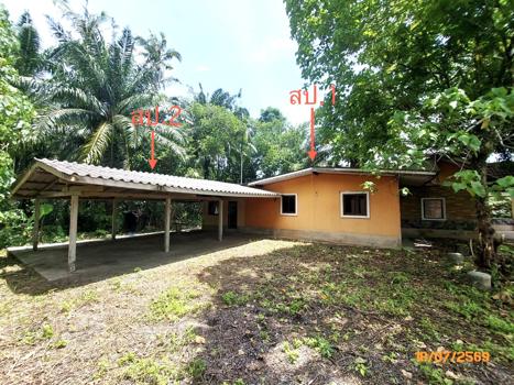 picture HOME 224.4 Sq.w. Wiang Sa Surat Thani for 656,000 - 22/25