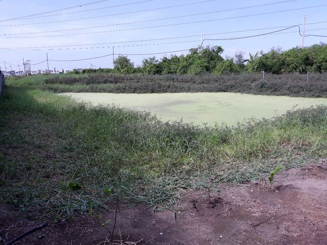 ขายที่ดิน 409 ตร.ว. เขตหนองจอก