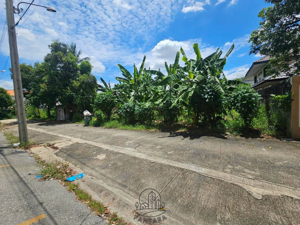 รูป ขายที่ดิน 2 แปลงติดกัน ใกล้เซ็นทรัลแจ้งวัฒนะ ทำเลติวานนท์–ปากเกร็ด 22 | บางพูด | นนทบุรี - รูปที่ 2/11