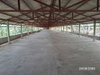listing thumbnail image 30