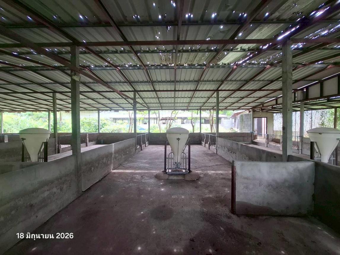 รูป ฟาร์ม 1958 ตร.วา เมืองนครสวรรค์ นครสวรรค์ 4M - รูปที่ 38/51