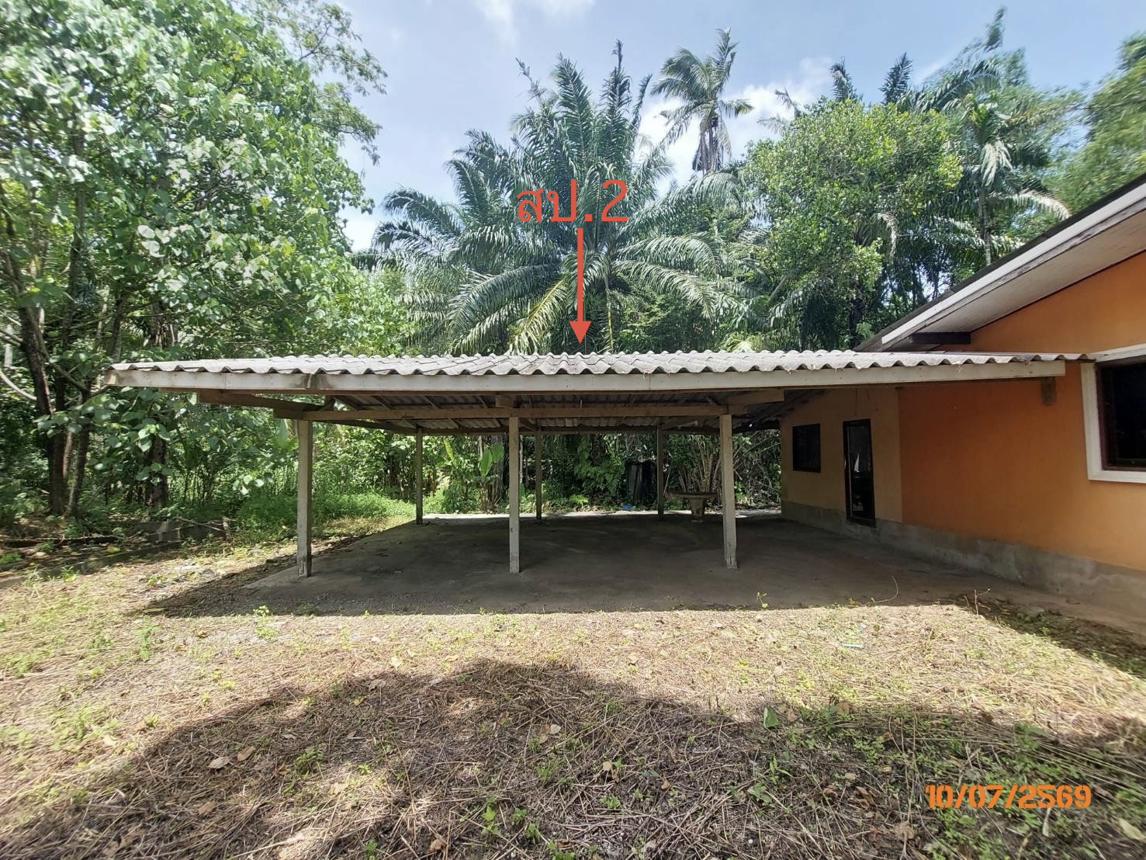 picture HOME 224.4 Sq.w. Wiang Sa Surat Thani for 656,000 - 20/25