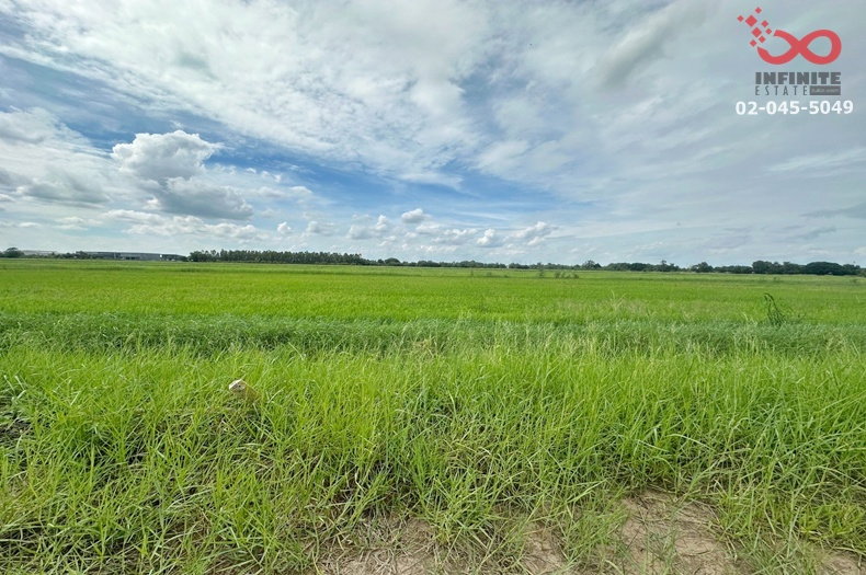 รูป ขายที่ดิน 200 ตร.ว. คลองสี่ คลองหลวง ปทุมธานี แปลงสวย ราคาดี - รูปที่ 7/9