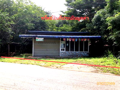 Houses for sale Surat Thani : HOME 110 Sq.w. Phunphin Surat Thani for 1.3M
