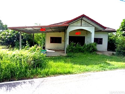 บ้านเดี่ยว นครราชสีมา (โคราช) : บ้านเดี่ยว 417.2 ตร.วา โนนแดง นครราชสีมา 3.3M