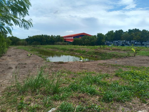 ขาย ที่ดินเปล่า  ที่ ซอยเอราวัณ 20, ใกล้ตลาดไท
