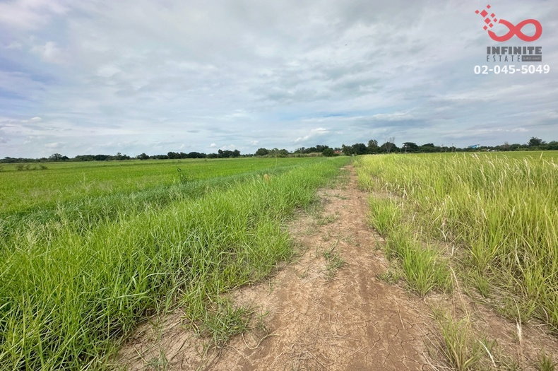 รูป ขายที่ดิน 200 ตร.ว. คลองสี่ คลองหลวง ปทุมธานี แปลงสวย ราคาดี - รูปที่ 5/9