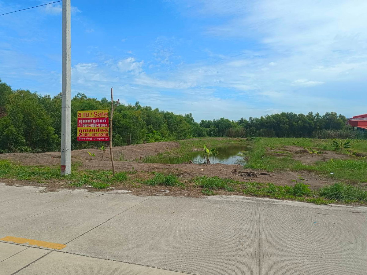 รูป ขาย ที่ดินเปล่า  ที่ ซอยเอราวัณ 20, ใกล้ตลาดไท - รูปที่ 5/18