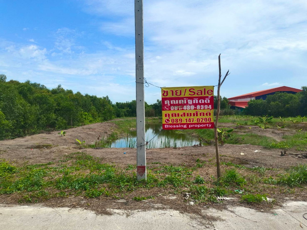 รูป ขาย ที่ดินเปล่า  ที่ ซอยเอราวัณ 20, ใกล้ตลาดไท - รูปที่ 3/18