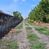 listing thumbnail image 2