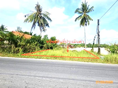 Land for sale Nakhon Sri Thammarat : LAND 49.2 Sq.w. Cha-uat Nakhon Sri Thammarat for 345,000