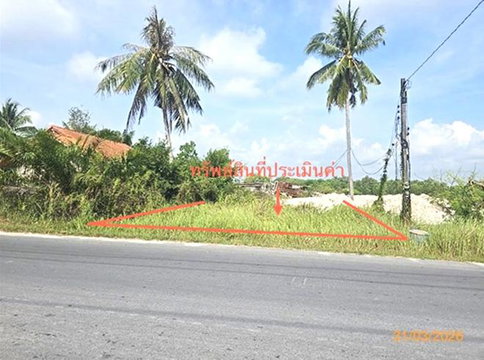 ที่ดินว่างเปล่า 49.2 ตร.วา ชะอวด นครศรีธรรมราช 345,000