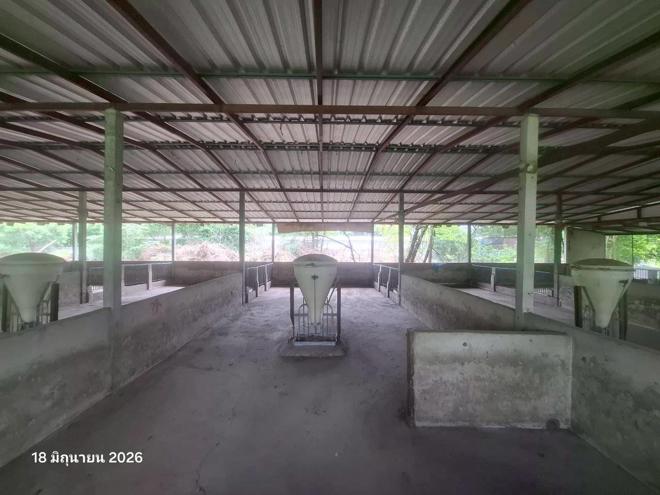 รูป ฟาร์ม 1958 ตร.วา เมืองนครสวรรค์ นครสวรรค์ 4M - รูปที่ 14/51