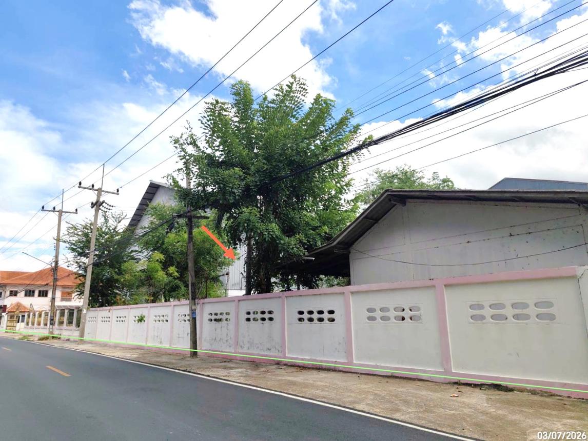 รูป โรงสี 4857 ตร.วา เดิมบางนางบวช สุพรรณบุรี 24.4M - รูปที่ 24/45